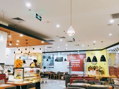 -油梨树 AVOCADO TREE(亮马桥店)