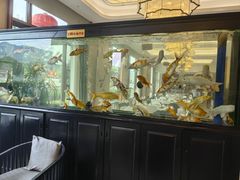 -玉雪春天(中正花园店)