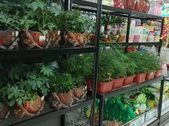 -大润发(东关世茂店)