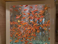 -德克士(前门店)