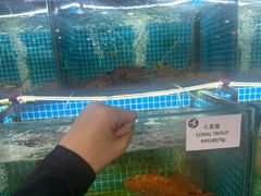 -双天海鲜楼 · 43年老字号