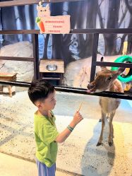 -酷嗒动物文化乐园(cutezoo西溪乐天城店)