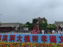 -大槐树寻根祭祖园