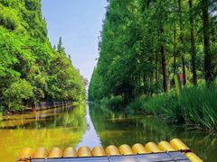 -上海长兴岛郊野公园