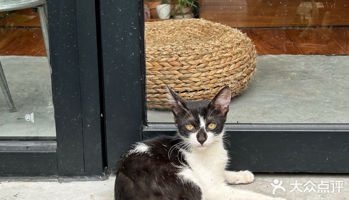 在花都，发现了日本的夏天🎐