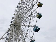 -琴岛之星摩天轮