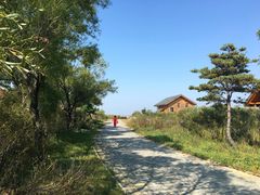 -农垦当壁镇兴凯湖旅游度假区