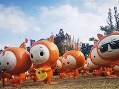 -上海长兴岛郊野公园