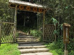 -常德桃花源景区