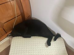 -强手盲人推拿·颈肩腰背调理(南新路店)