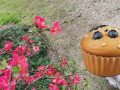 -星巴克(上海交通大学店)