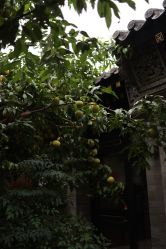 -Sunny喜铺婚礼定制·求婚策划