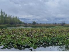 -野鸭湖国家湿地公园