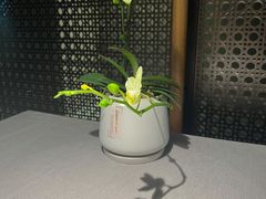 -隐溪茶馆(金虹桥店)