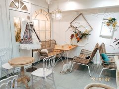 -共舞时光猫咖·狗咖(新街口店)