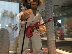 -济州岛泰迪熊博物馆