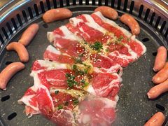 -杨记齐齐哈尔烤肉(总店)
