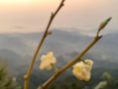 -马头山