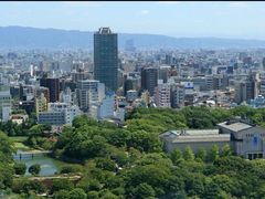 -大阪市立自然史博物馆