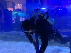 -迪拜水族馆及水下动物园