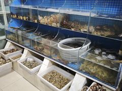 -宾朋海鲜特色美食餐厅·纯手工鲅鱼水饺(兴海路店)