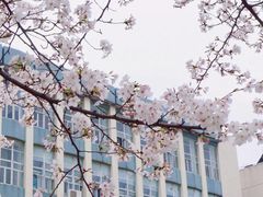 -湖北中医药大学(昙华林校区)