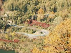 -四明山国家森林公园