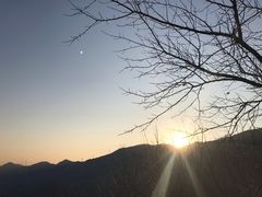-北京鹫峰国家森林公园