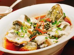 -觅唐MITONG(鸟巢店)