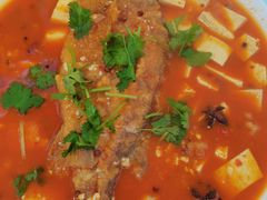 -煲来饱去冷水鱼