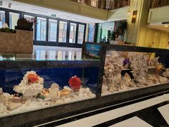 -新海渔港·胶东海鲜家常菜·家宴(奥体中心店)