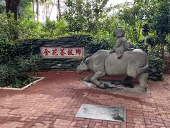 -金花茶公园