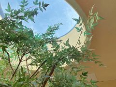 -白茶原·一片叶子