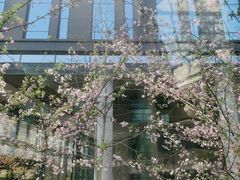 -网易（杭州）网络有限公司