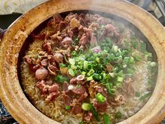 -百利鸽王(紫薇路店)