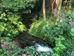 -同里国家湿地公园