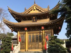 -上海东林寺(金山区)