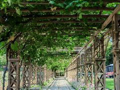 -北京张裕爱斐堡酒庄