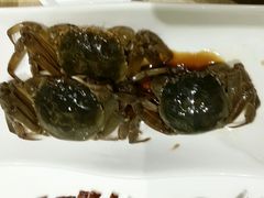 -海中洲渔社
