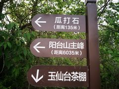 -阳台山自然风景区