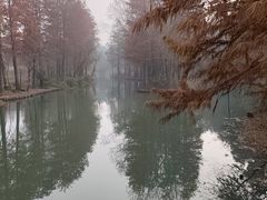 -中国湿地博物馆