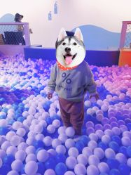 -幻贝家儿童乐园(苏州中心店)