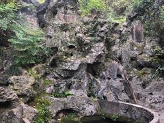 -龙井壹号·茶缘山景宴(龙井村店)