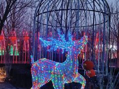 -南宫五洲植物乐园