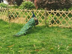 -南山风景名胜区