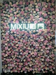 -谜秀专业半永久纹眉纹绣美瞳线洗眉