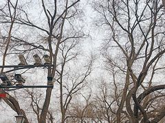 -南锣鼓巷