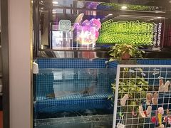 -涿派·炝锅鱼(涿州店)
