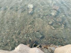 -青岛海滨风景区小青岛