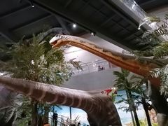 -湖南省地质博物馆